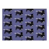 Graduate Skunk (Vorderseite (Horizontal))