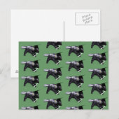 Graduate Skunk Postkarte (Vorne/Hinten)