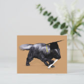 Graduate Skunk Postkarte (Stehend Vorderseite)