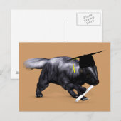Graduate Skunk Postkarte (Vorne/Hinten)