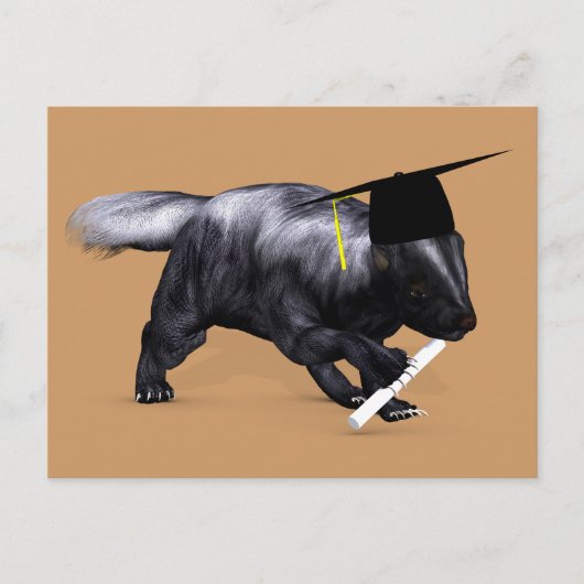 Graduate Skunk Postkarte (Vorderseite)
