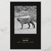 Graduation Cap Toss Silver & Gold Grad Party Flyer (Hinten)