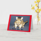 Graduation Gerbil Karte (Gelbe Blume)