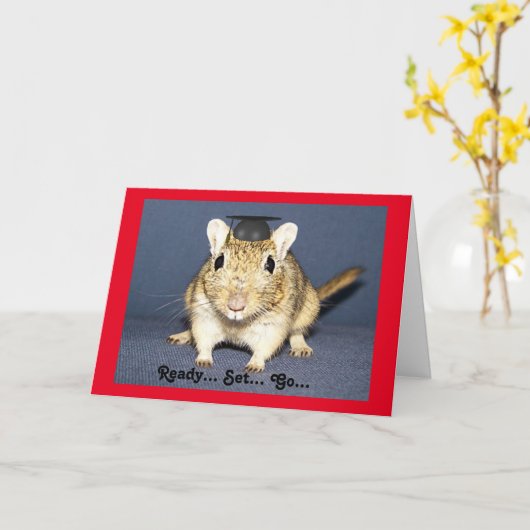 Graduation Gerbil Karte (Gelbe Blume)