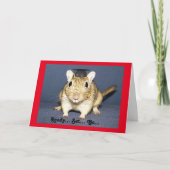 Graduation Gerbil Karte (Vorderseite)