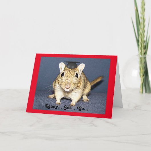 Graduation Gerbil Karte (Vorderseite)