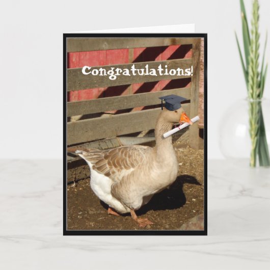 Graduation goose karte (Vorderseite)