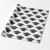 Graduierungspapier Geschenkpapier (Ungerollt)