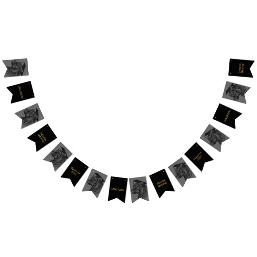 Graduierungsparty-Jagdfahnen Wimpelkette (Alle)