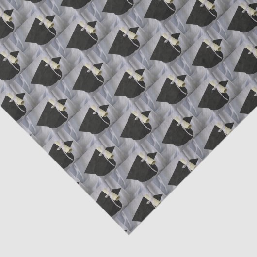 Graduierungsstufe und Diplom Seidenpapier (Ausschnitt)