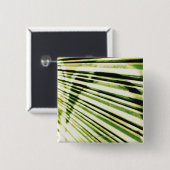 Graffiti auf einem Fensterladen Button (Vorne & Hinten)