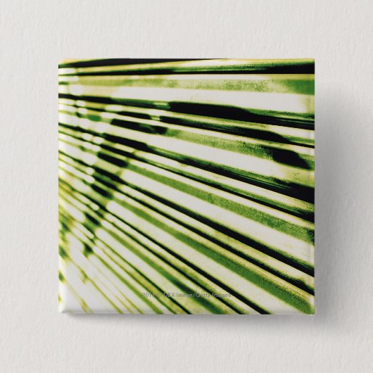 Graffiti auf einem Fensterladen Button (Vorderseite)