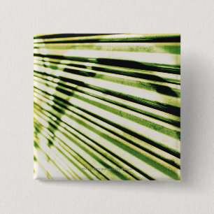 Graffiti auf einem Fensterladen Button