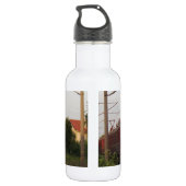 Graffiti bedeckter Zug Trinkflasche (Rückseite)