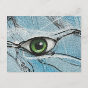 Graffiti Eye Postkarte
