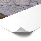 Graffiti in Music Poster (Ecke)