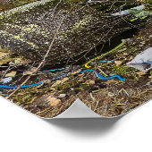 Graffiti Street Art Abandoned Gebäude Poster (Ecke)