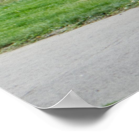 Graffitis Poster (Ecke)