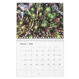 Grafik-Fotokalender Kalender
