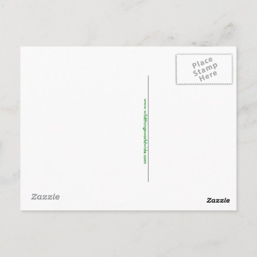 Grafikhandgezeichnet ARMADILLO - gefährdetes Tier Postkarte (Rückseite)