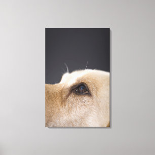Grafikporträt des Hundekopfes, nah-up Leinwanddruck