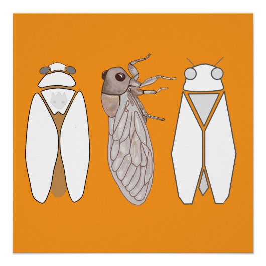 Grafische Zikade und Zikaden-Männchen. Poster (Vorderseite)