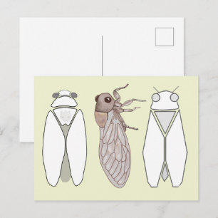 Grafische Zikade und Zikaden-Männchen. Postkarte