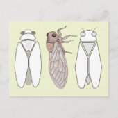 Grafische Zikade und Zikaden-Männchen. Postkarte (Vorderseite)