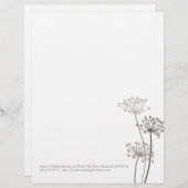 Grafischer brauner Blumenkuhpetersilienbriefkopf Briefbogen (Vorne/Hinten)