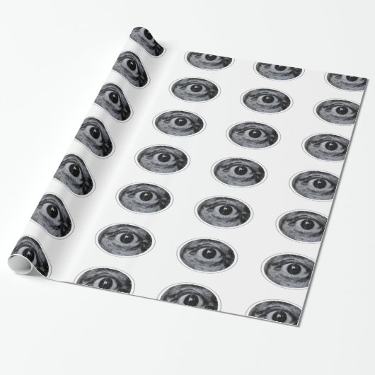 Grafitti Eye Geschenkpapier (Ungerollt)
