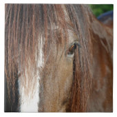 Grafschaft Fliese (Vorderseite)