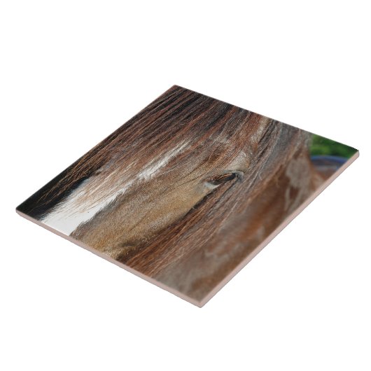 Grafschaft Fliese (Seite)