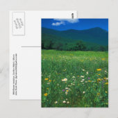 Grafton Notch Wiese Postkarte (Vorne/Hinten)