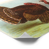 Graham - Bronze Turkeys Portfolio Poster (Ecke)