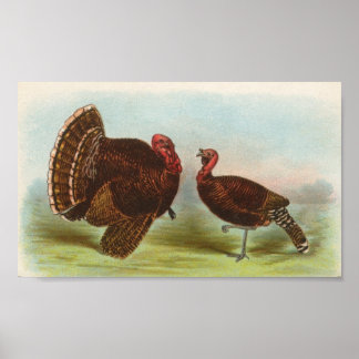 Graham - Bronze Turkeys Portfolio Poster