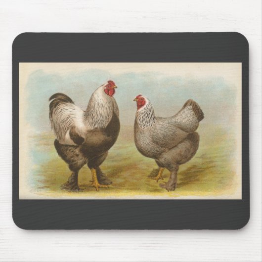 Graham - dunkle Brahma Hühner Mousepad (Vorne)