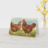 Graham- - Islandrot-Hühner Karte (Gelbe Blume)