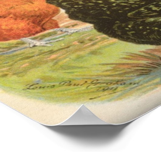 Graham - Orpington Chickens Portfolio Poster (Ecke)