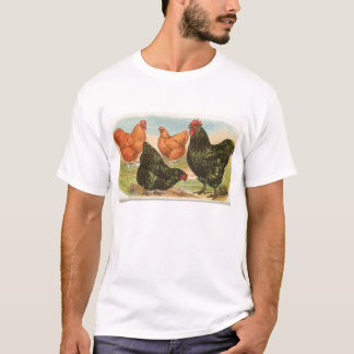 Graham - Orpington Chickens T-Shirt
