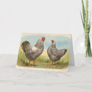 Graham - Silver Laced Wyandotte Chickens Karte