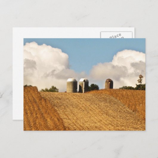 Grain Harvest Postkarte (Vorne/Hinten)