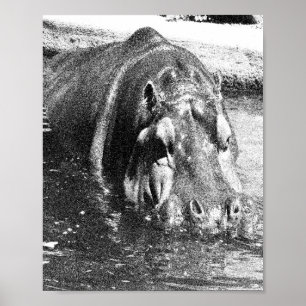 Grainy Schwarz-weiß Hippo Art, Poster