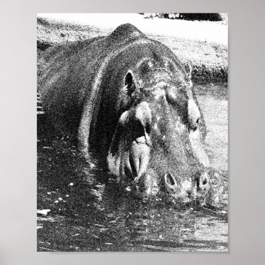 Grainy Schwarz-weiß Hippo Art, Poster (Vorne)