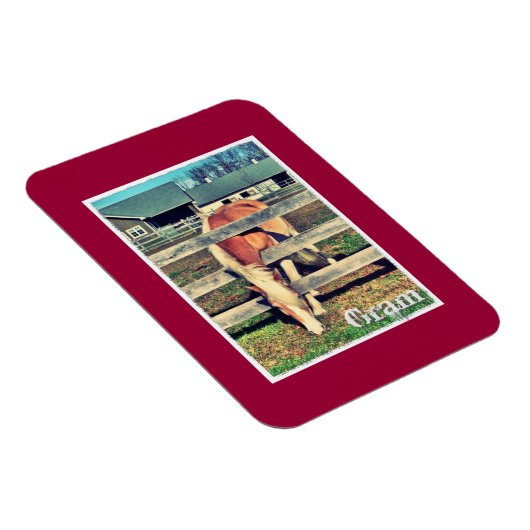 Gram Deluxe Edition Magnet (Rechte Seite)