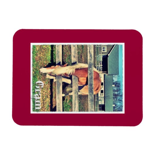 Gram Deluxe Edition Magnet (Horizontal)