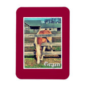Gram Deluxe Edition Magnet (Vertikal)