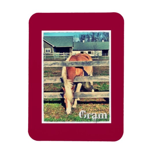 Gram Deluxe Edition Magnet (Vertikal)