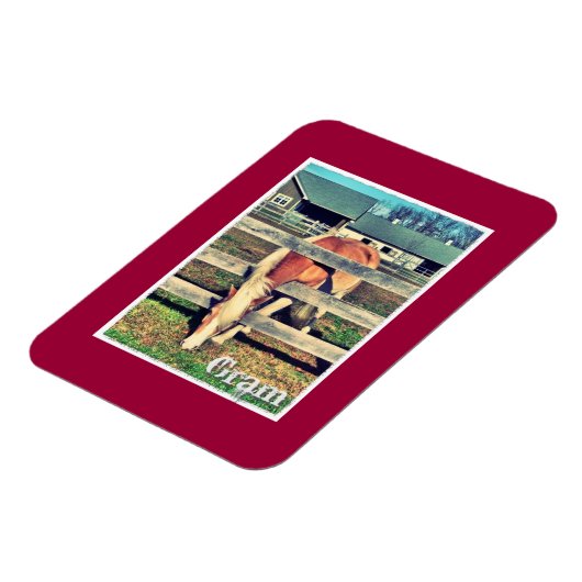 Gram Deluxe Edition Magnet (Linke Seite)