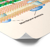 Gram-positives bakterielles Zellwandposter Poster (Ecke)