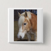 Gramm-Knopf Button (Vorderseite)